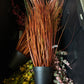 Onion Grass Bush 35”