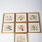 Hand Colored Engravings Set of 7