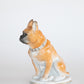 Hand Painted Porcelain French Bulldog