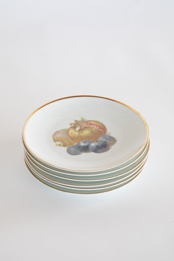 Set of 6 Bavarian Fruit Plates c.1870